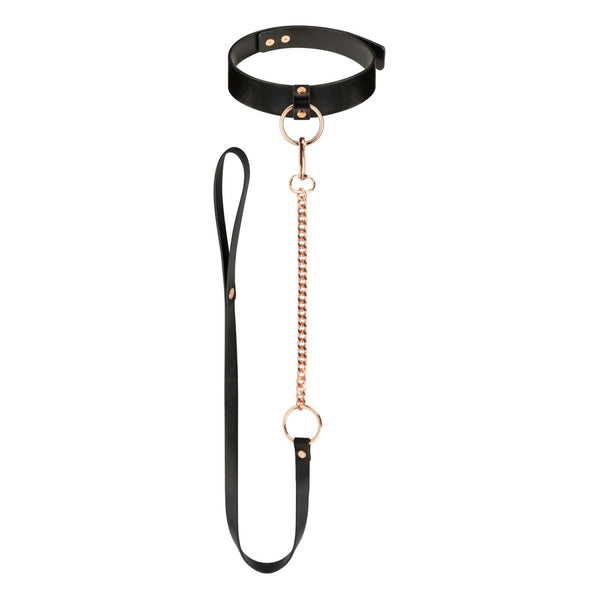 Rosy Gold Collar with Leash Black