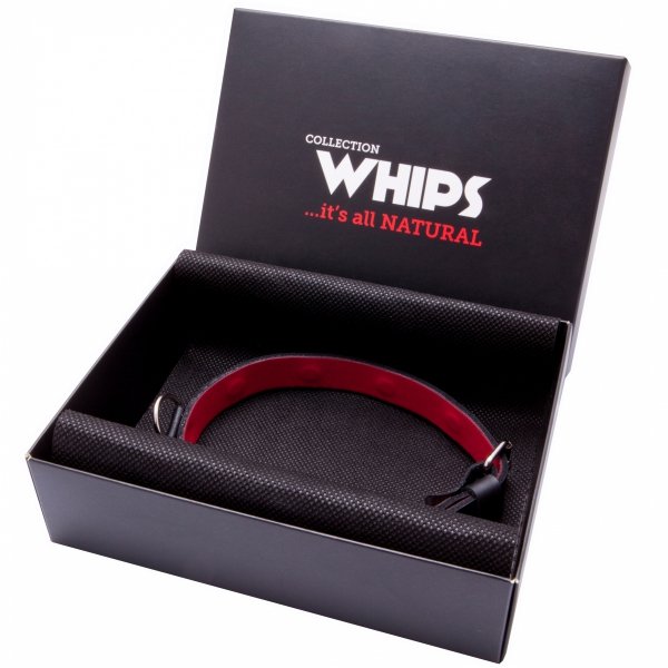 Wiązania WHIPS obroża damska, cienka