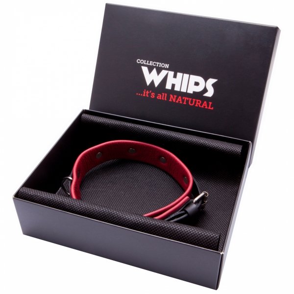 b4aa0453e3cb198edcc8200f784c62b1