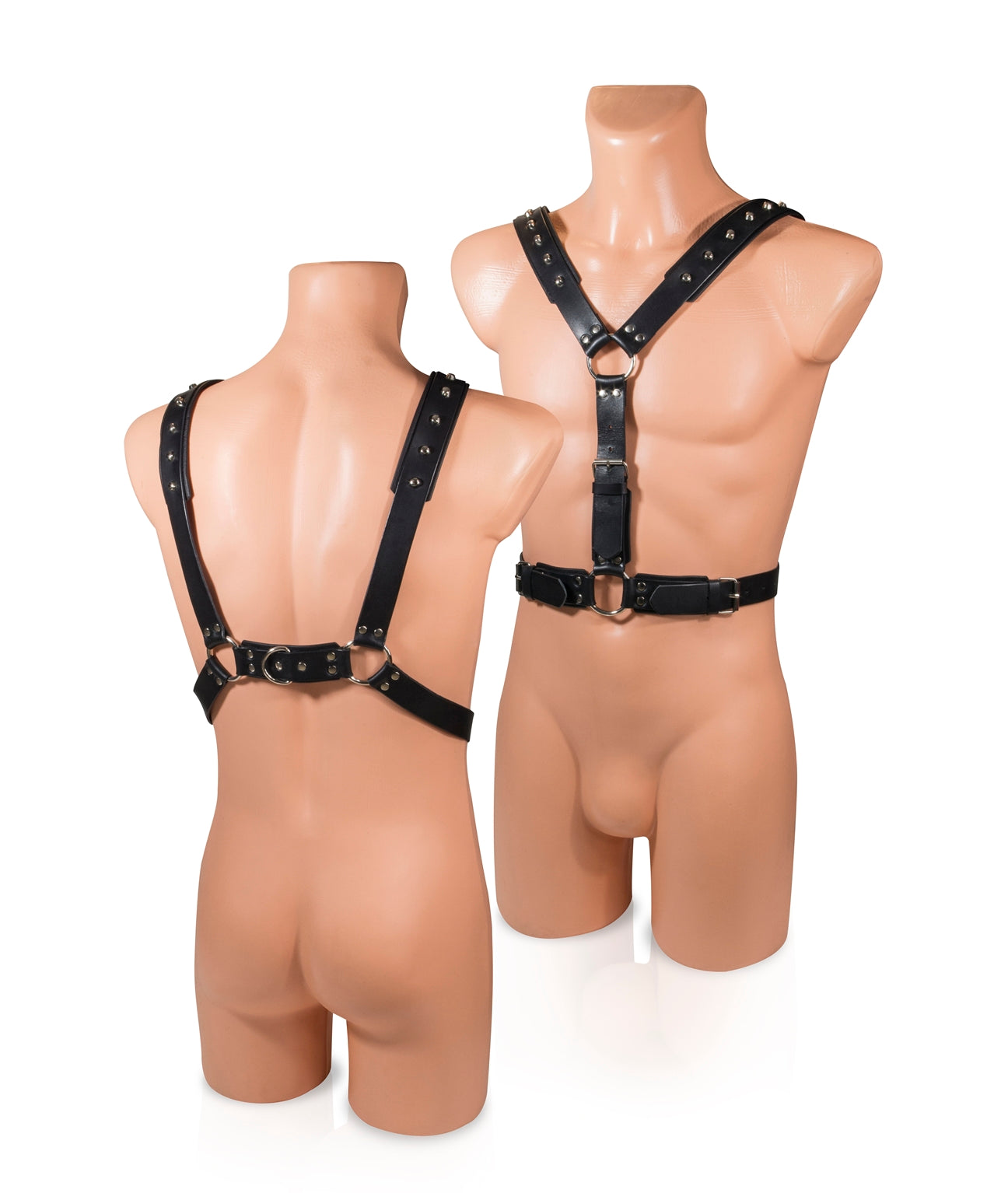 8dbfb1a3c3c24484aac73acdbcfa448e