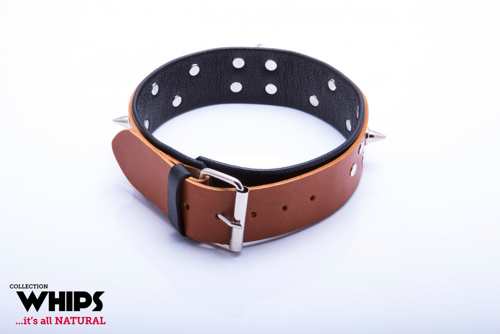 92f02872fb54647667e0a9da7b0a1c3d