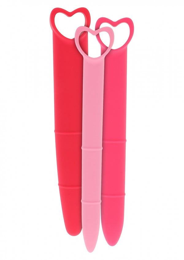 Silicone Vaginal Dilators 3pcs Pink