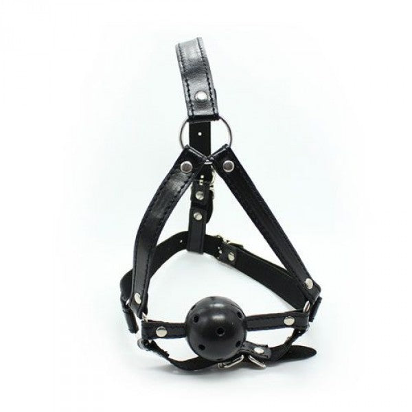 Knebel Imbracatura Viso con morso Head Harness+Ball Gag