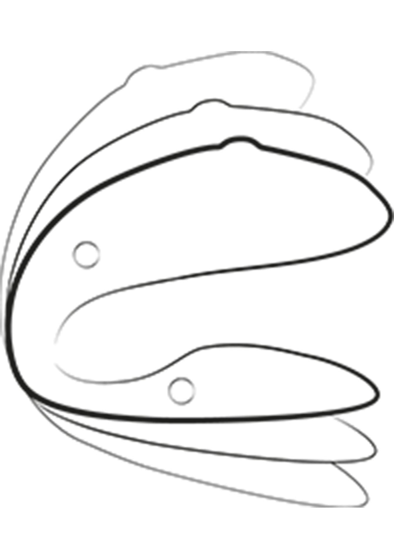 3e83c163f5b3ca996705648a3fe903a8