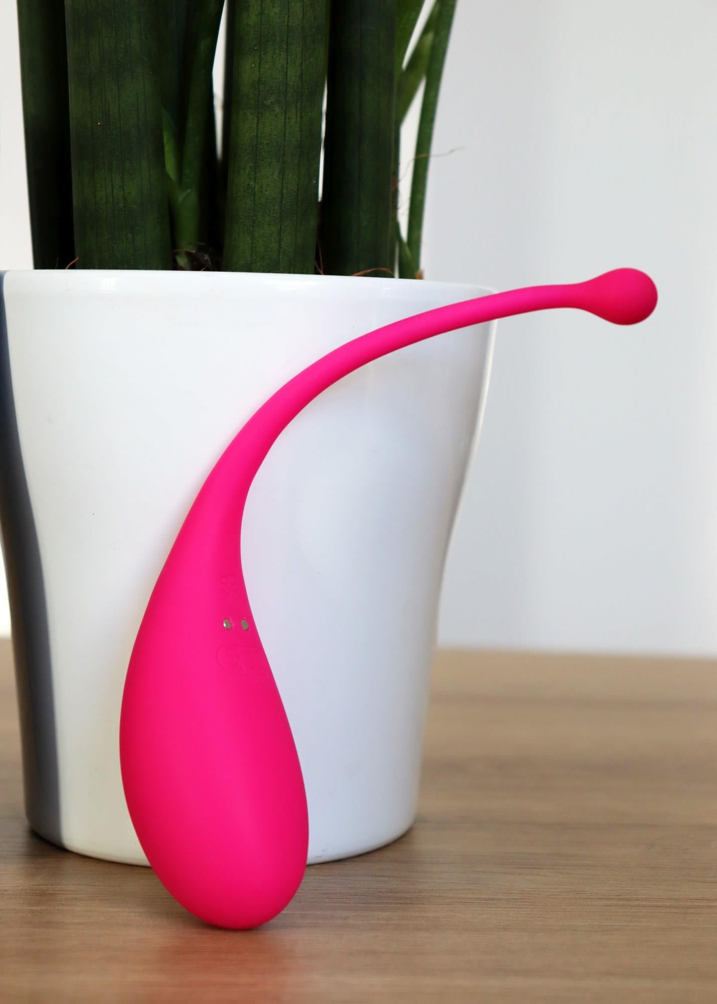 1143596fe28bcd043d3f87edec27dc4d