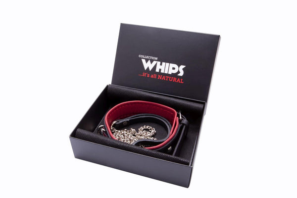 Bindings-WHIPS women's collar with studs and leash