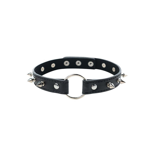 Adjustable collar with spikes