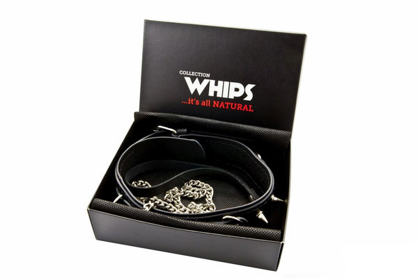 Bindings-WHIPS men's collar with D-rings and a leash