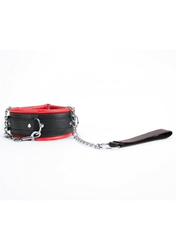 Red Collar and Leash