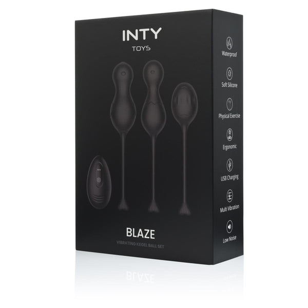 INTY Toys   Blaze