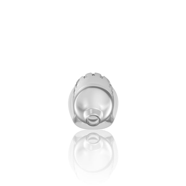 Model 29 TPE Chastity Cage Transparent