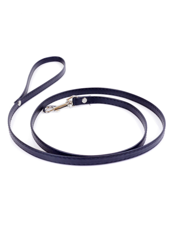 Fetish B   Series Leash