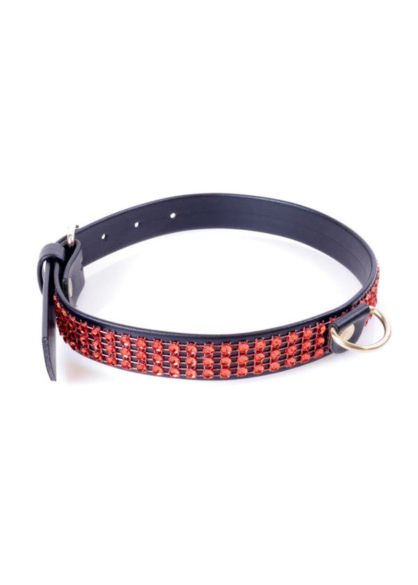 Fetish B   Series Collar with crystals 2 cm Red Line