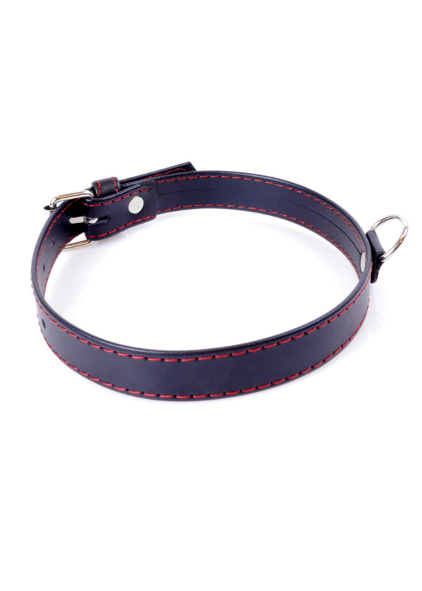 Fetish B    Series Collar  2cm Red Line