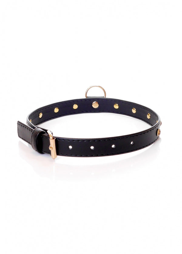 Fetish B   Series   Collar 2 cm gold crystal