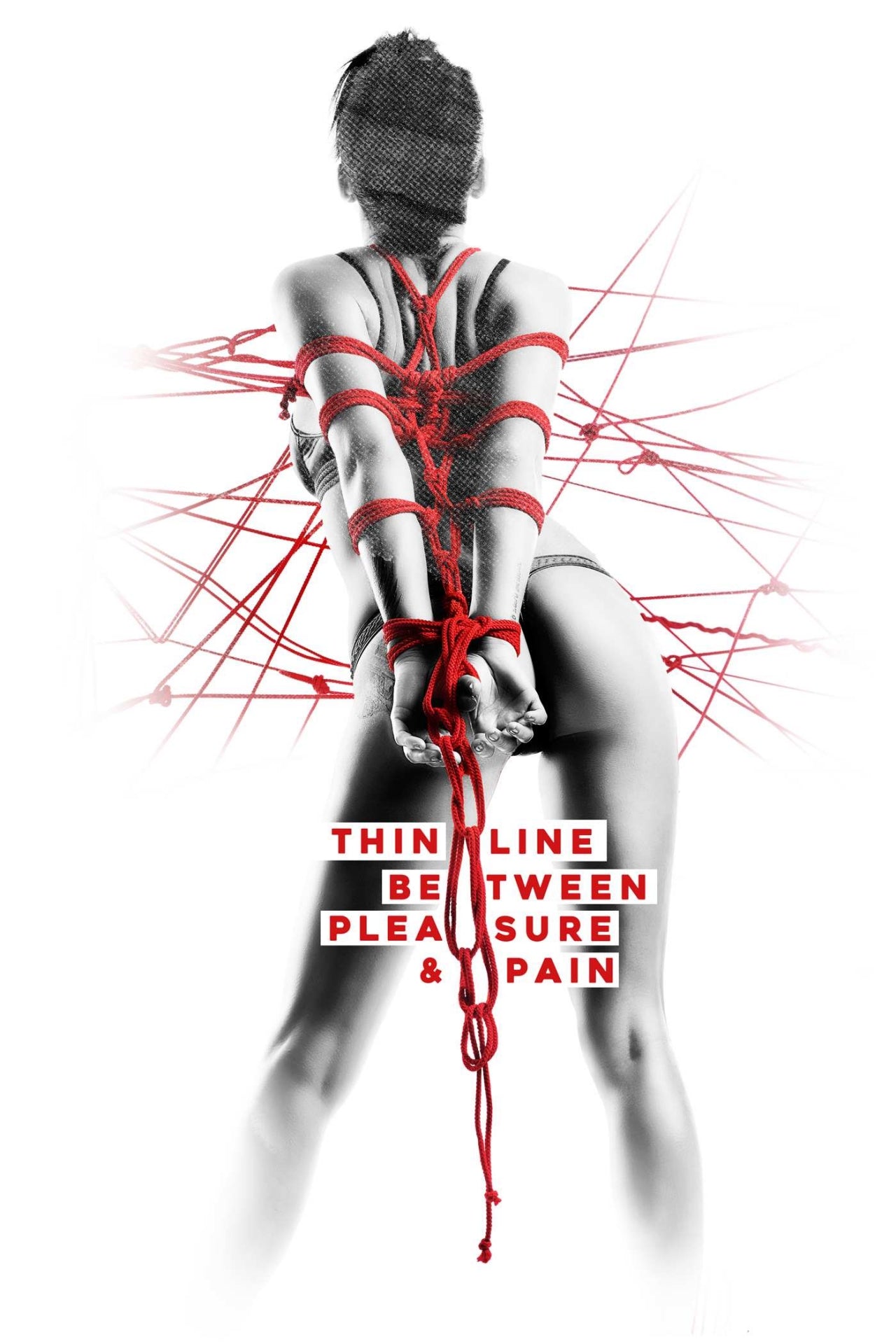 aef1e5f84974b6e4656fbab2fd279529