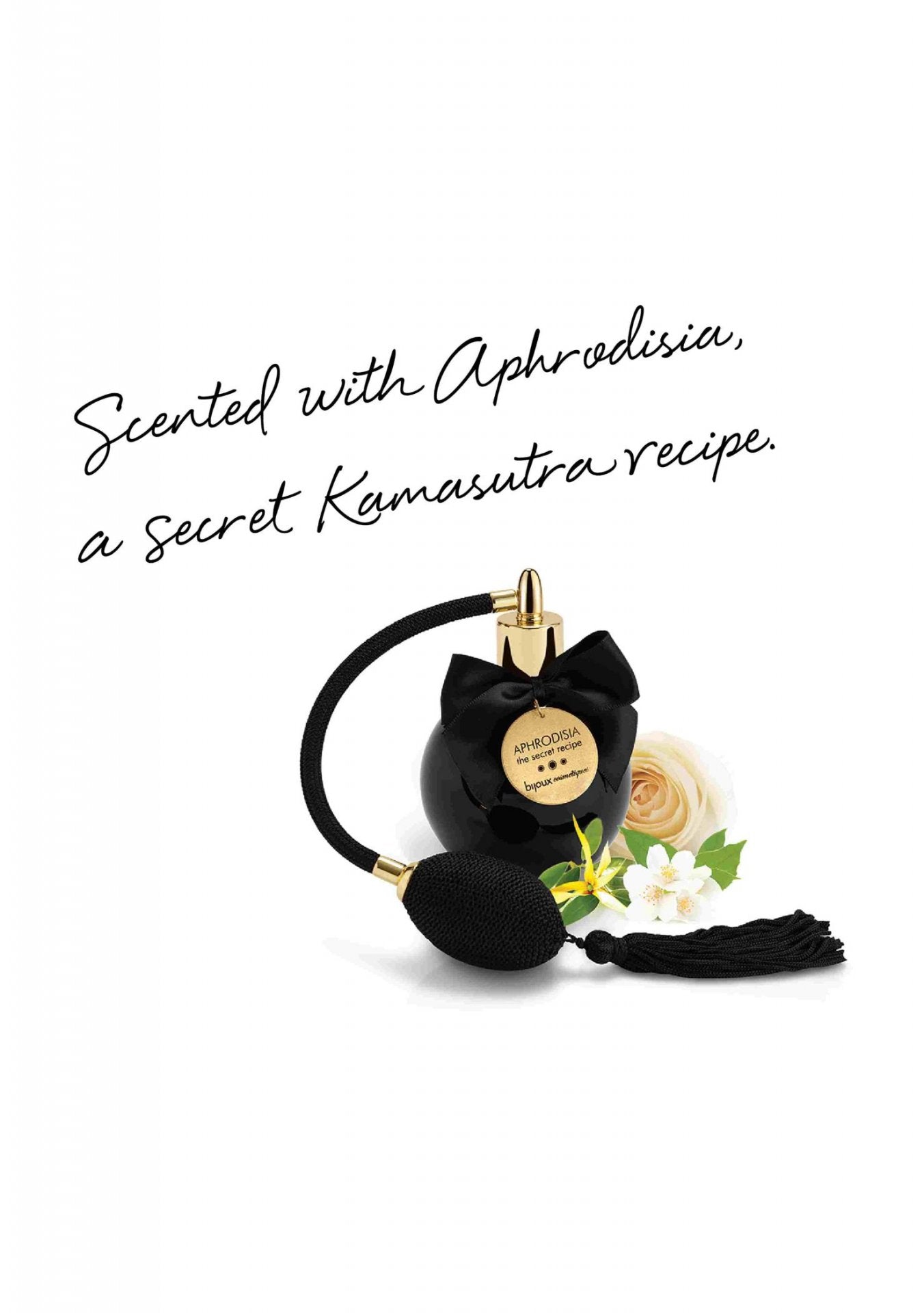 92ce15a94431db6ae2ad172d35c736b5