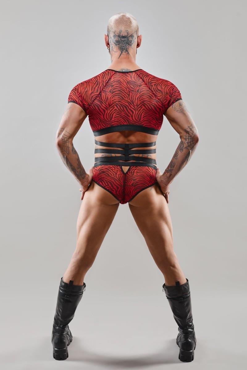 cfe8581b577e42311b02dfe56f6e38d8