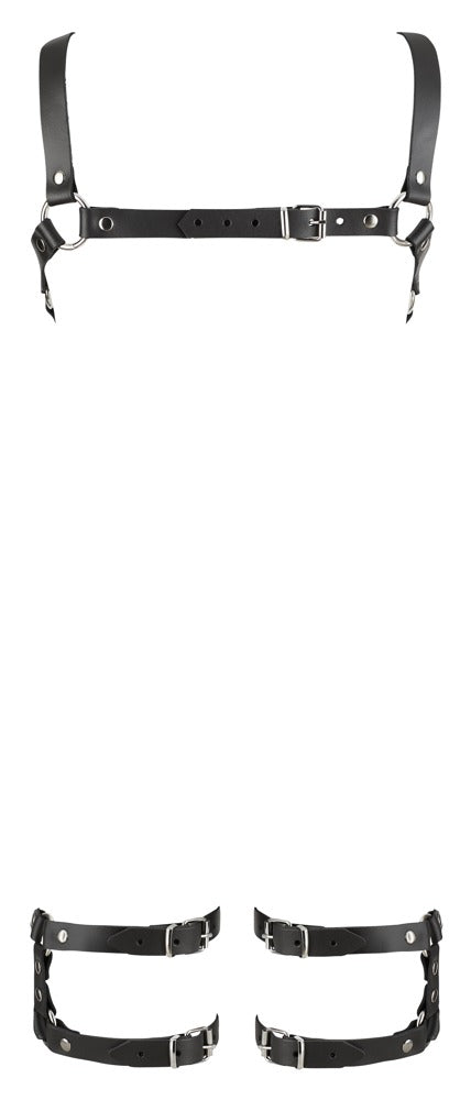 c9c5d4310cd771d1496a13fc0b2db6ee