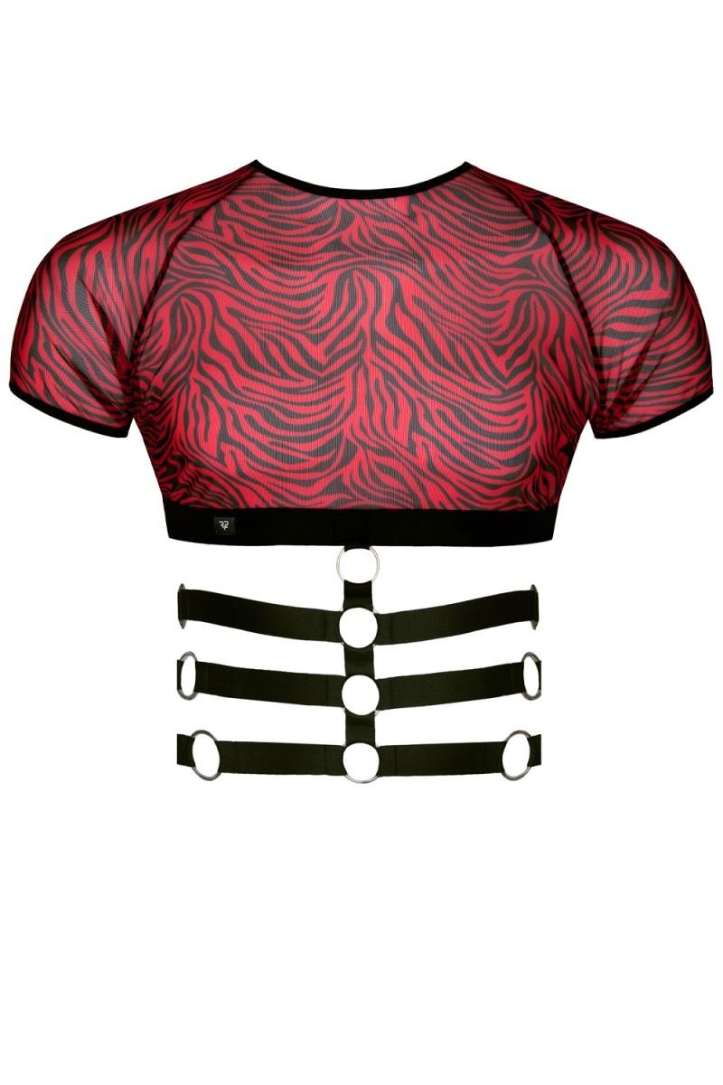 b73177f7d33cda99e0405d240405e7ab