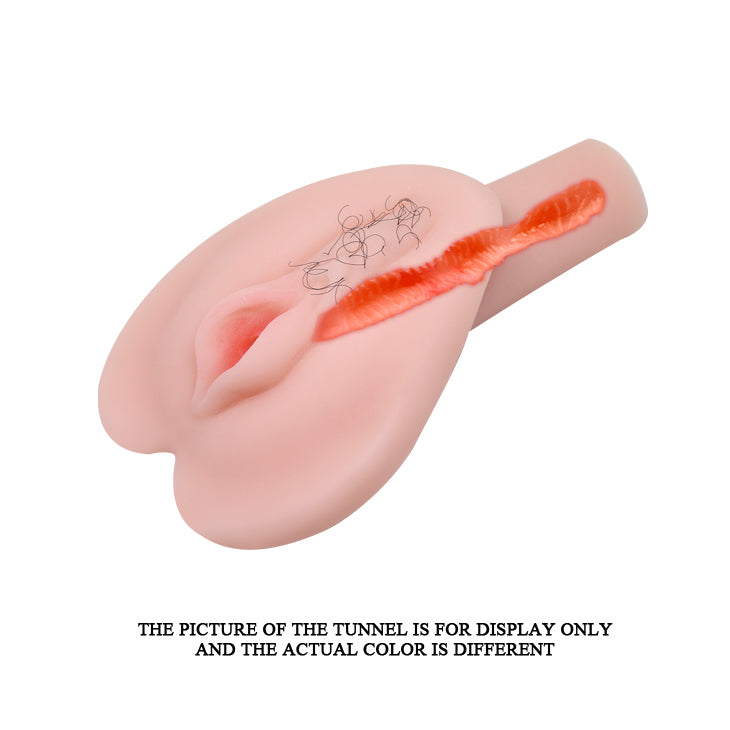 bc155c077828bc997dc84dbd82260484