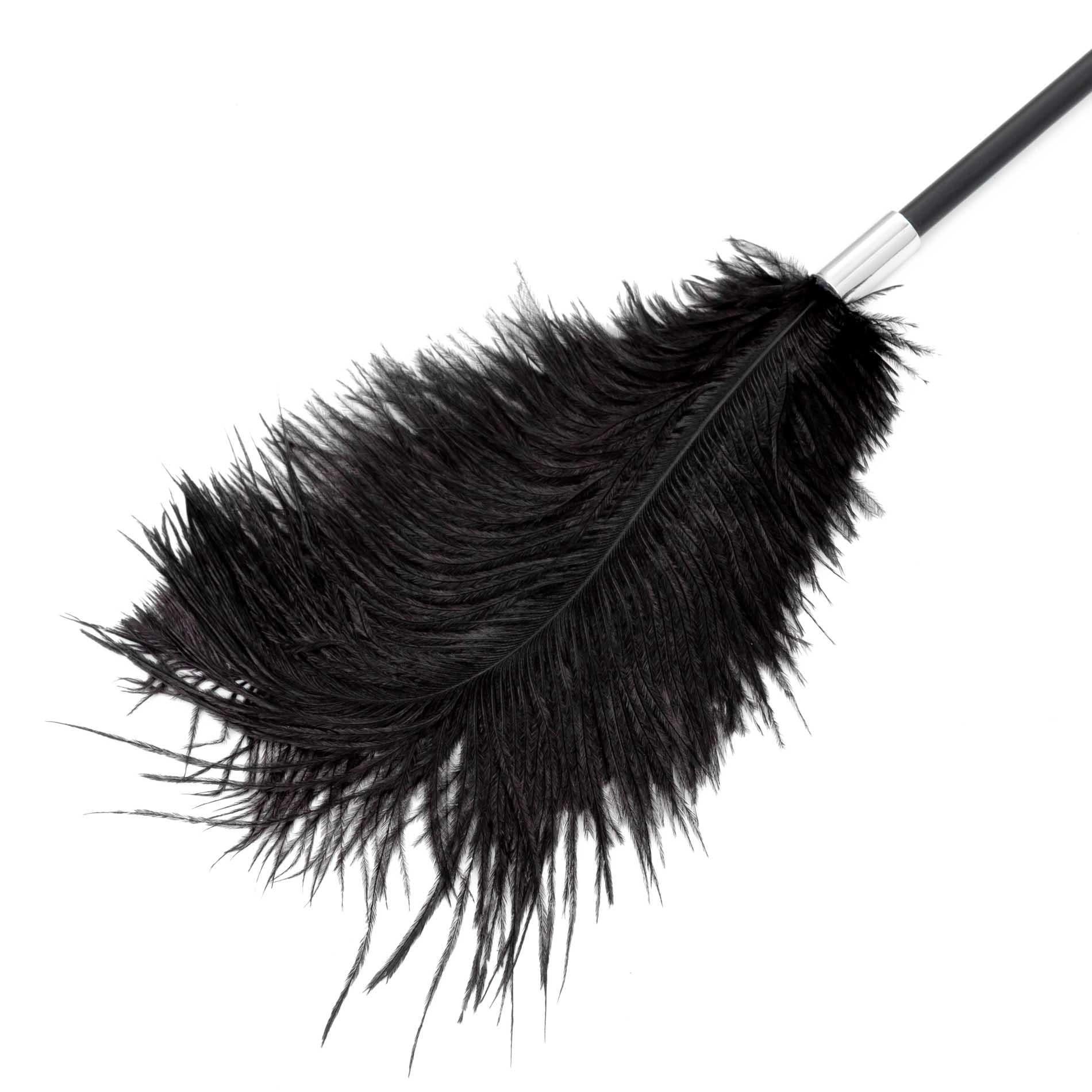 1396bd5fbbcdc0aadcd54332fe0ad802