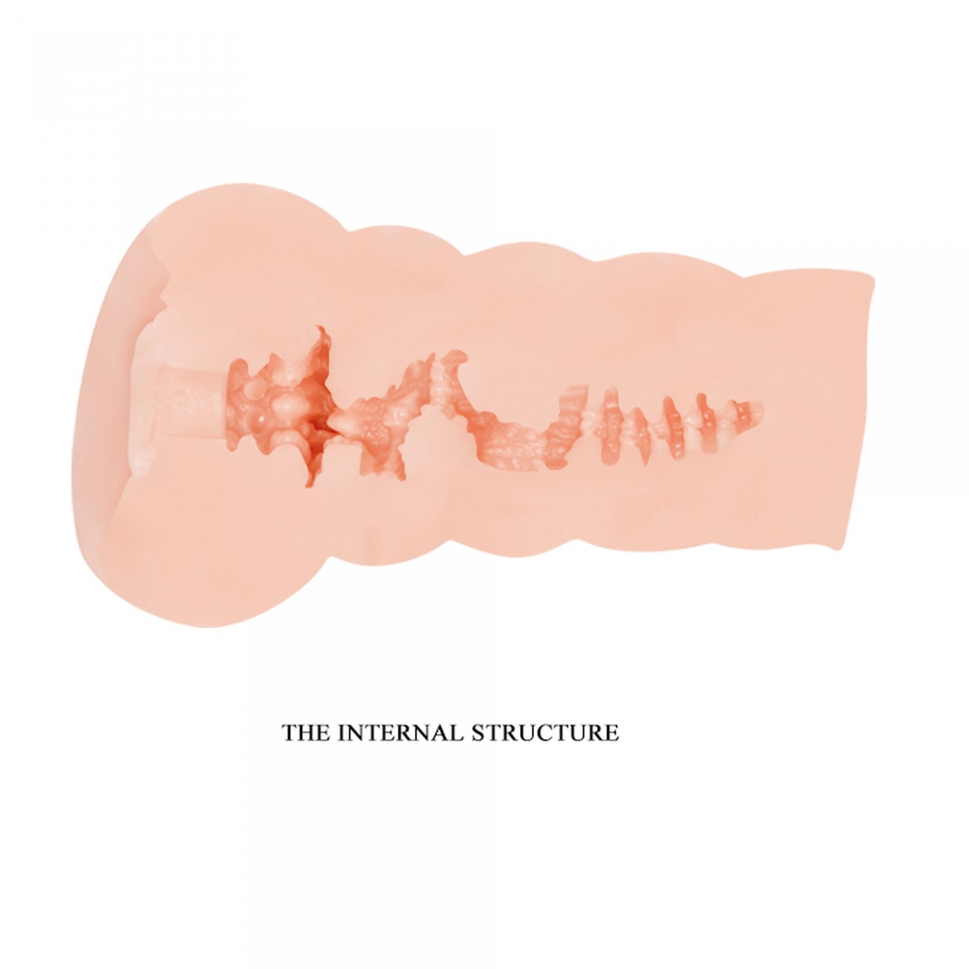 f12f81297f4a4b56948825800751a092