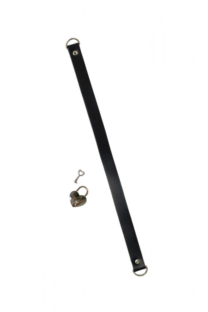 56693243427dc277a6fba10b4d4ae238