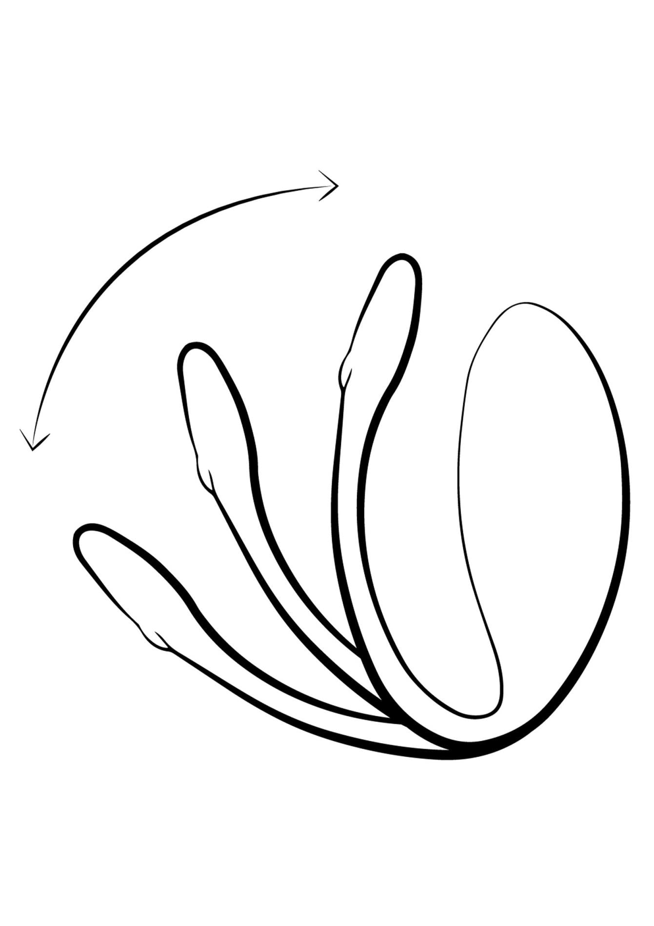 9ffbb258d39a40173f89d59019e06320