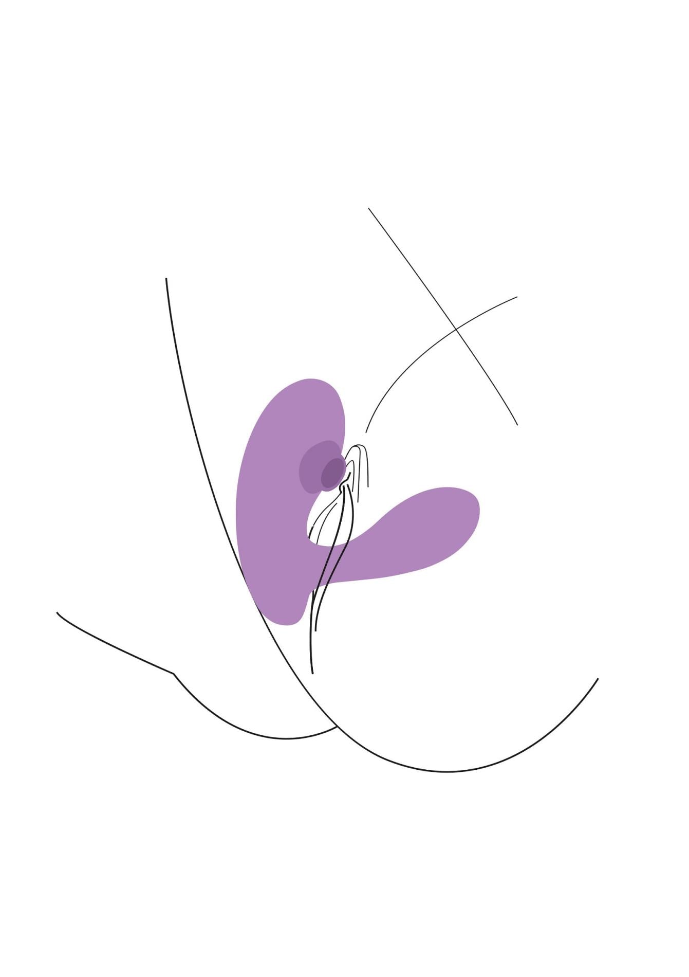 457de4a76d5bd8e523c624c450165bbc