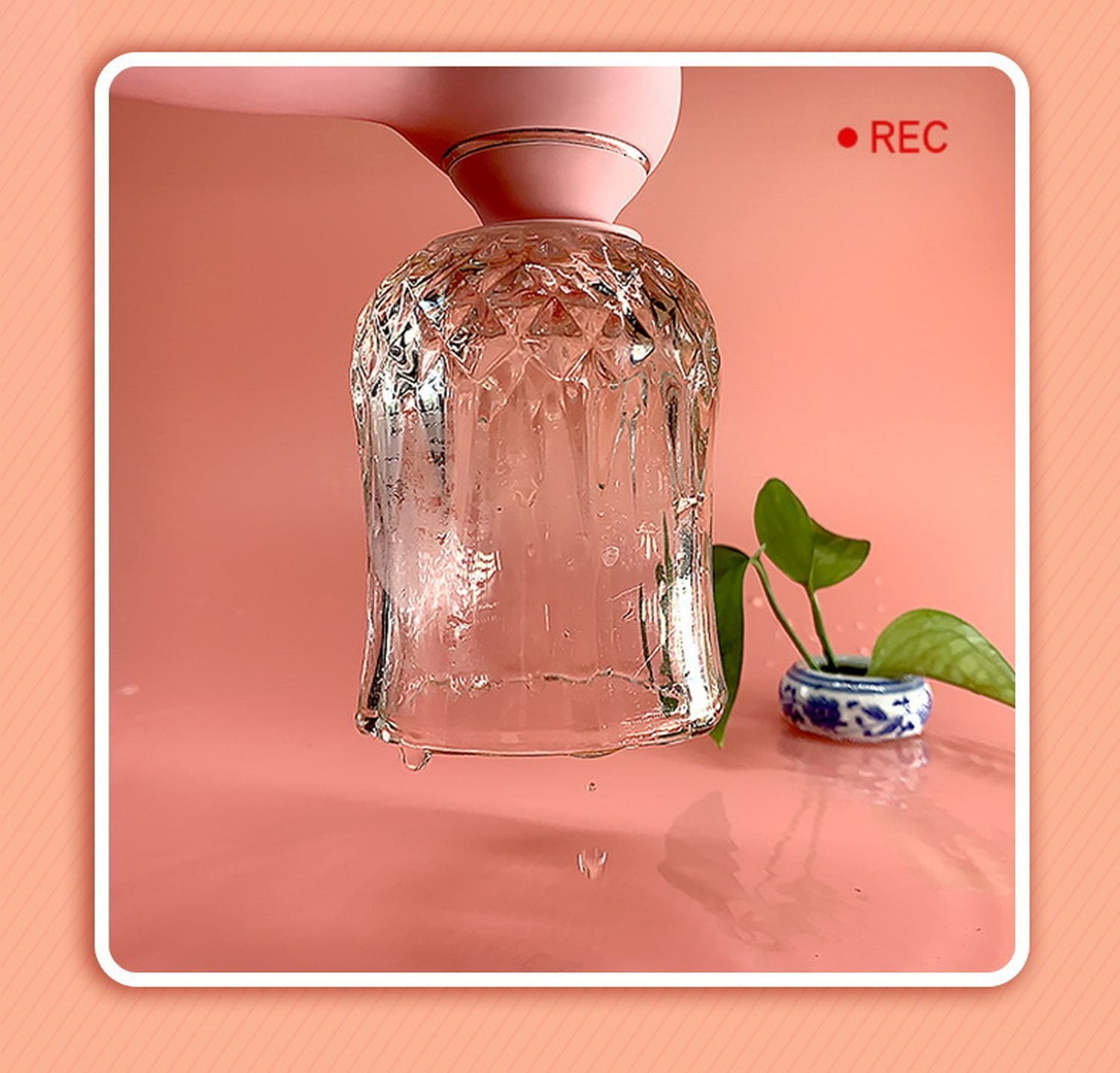 34d814be2a3812ffa95fe52e14aa8bb2