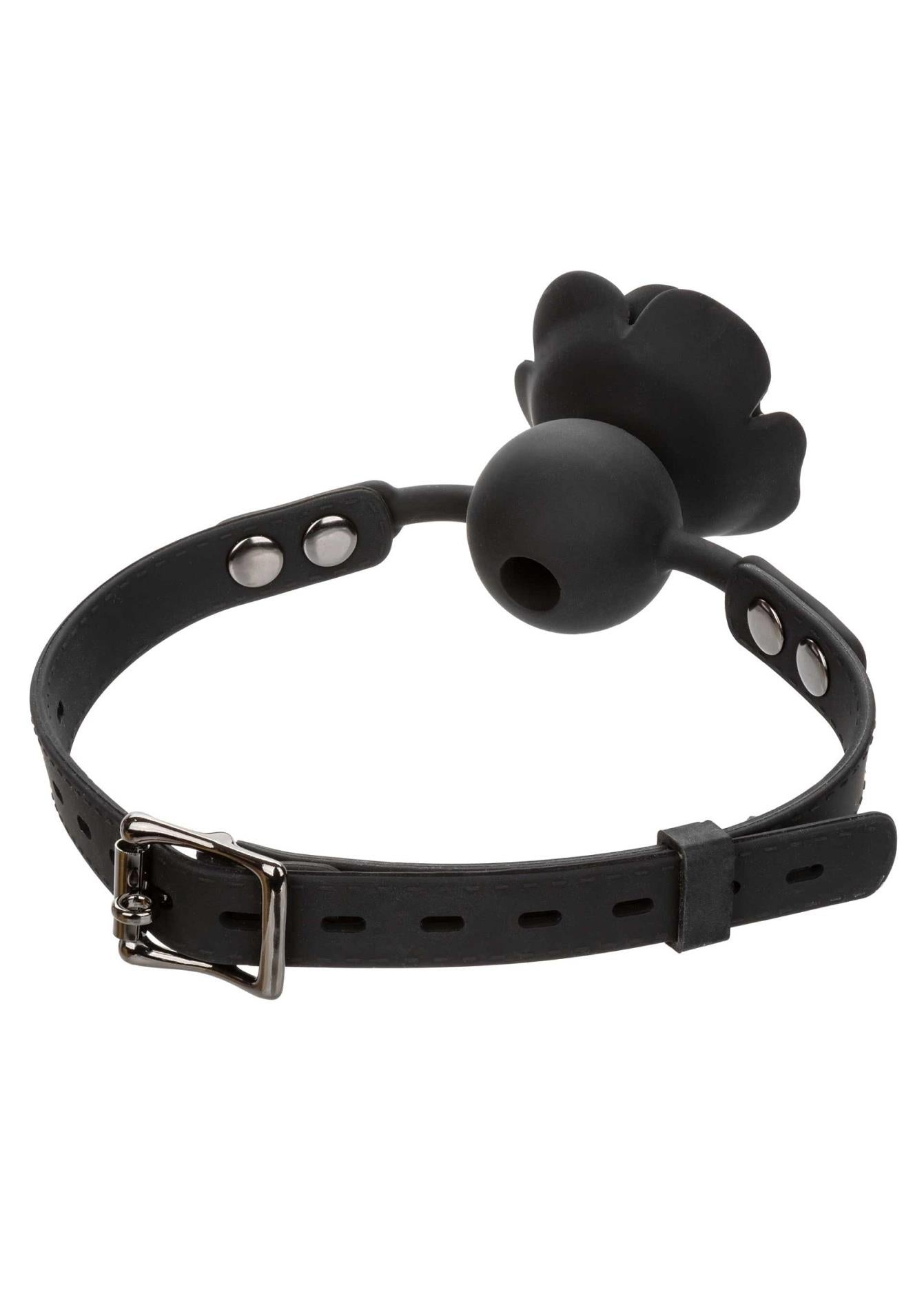 d323cbf8250e0a9cf8a19d90c9e7a806