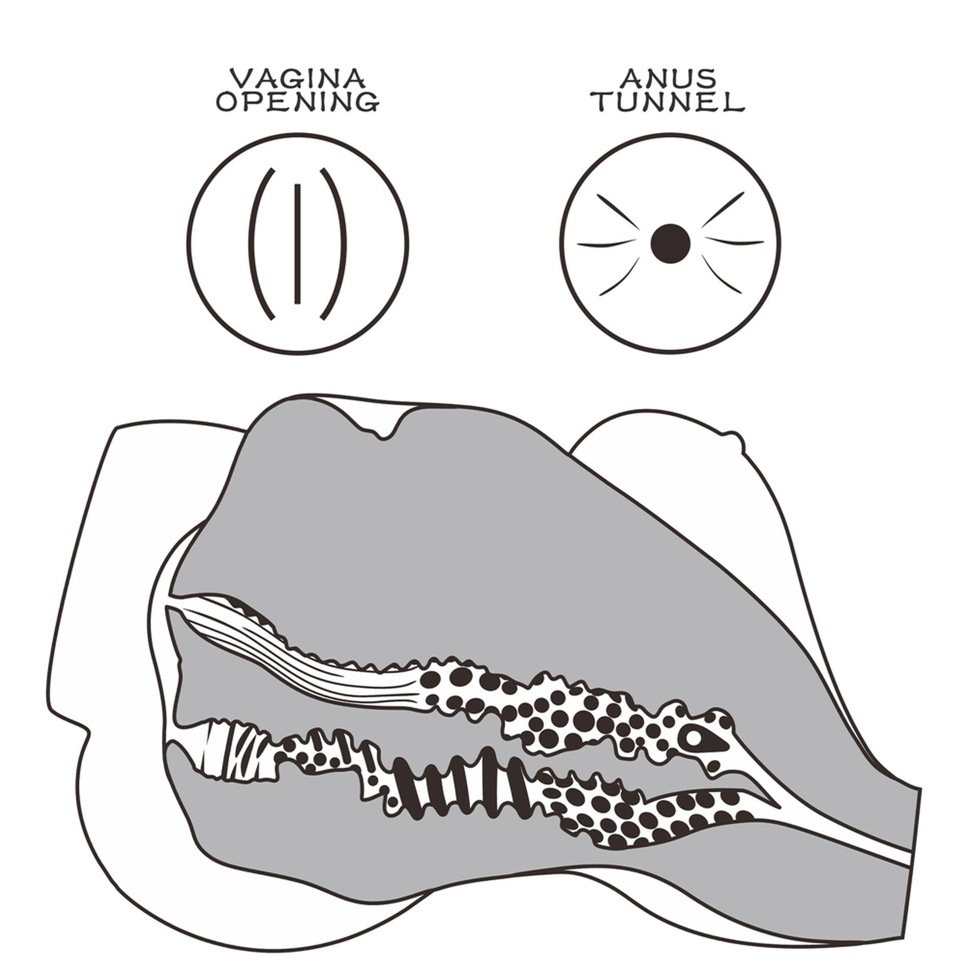 c54dcc4f03fbf94d776c624e595bd0c3