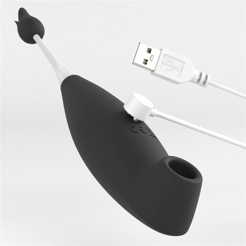 903e94494a34f02d7b1493f0f825303f