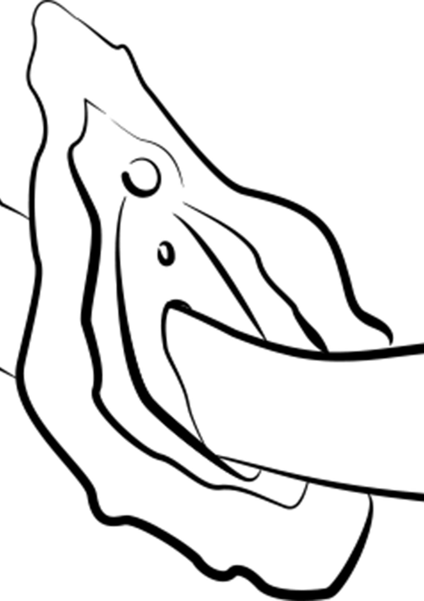 75c276331c1884322182421a4793428e